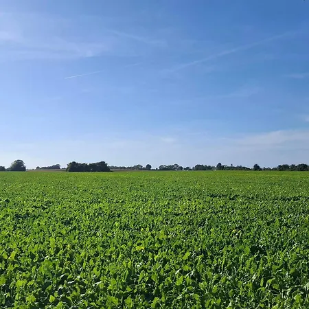 5 Person In Feriehus