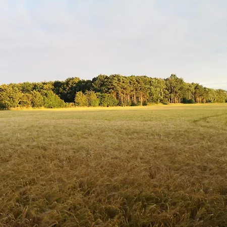 5 Person In Feriehus